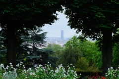 Paris-view-from-the-trees-of-the-graveyard