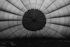 baloon-bumhole-BnW