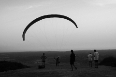 paragliders-BnW