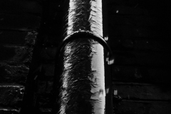 wet-pipe-BnW