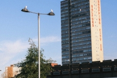 Salford-tower-seagull-bois