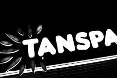 tanspa-logo-BnW